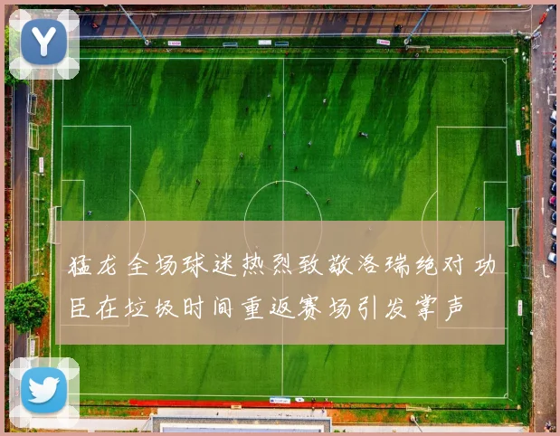 猛龙全场球迷热烈致敬洛瑞绝对功臣在垃圾时间重返赛场引发掌声